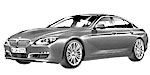 BMW F06 P363B Fault Code